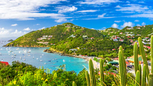 Ofertas de cruceros por San Bartolomé