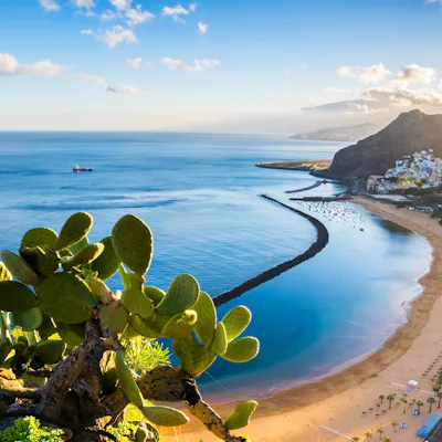 Cruceros desde el Puerto de Tenerife