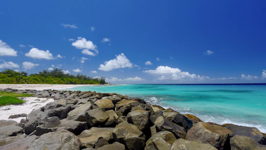 Cruceros por el Caribe