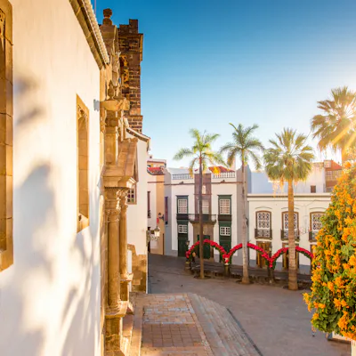 Cruceros desde el Puerto de La Palma