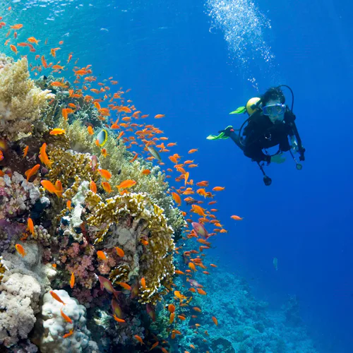 Cruceros para los amantes de la acción